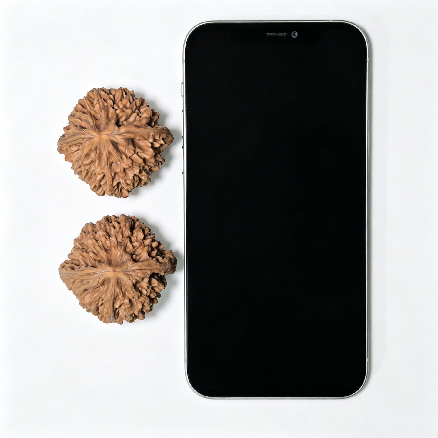 "Wealth Mouse" Zhaocaishu Wenwan Walnuts (Pair) | 44.0mm x 41.0mm | Stock ID: ZCS-1403