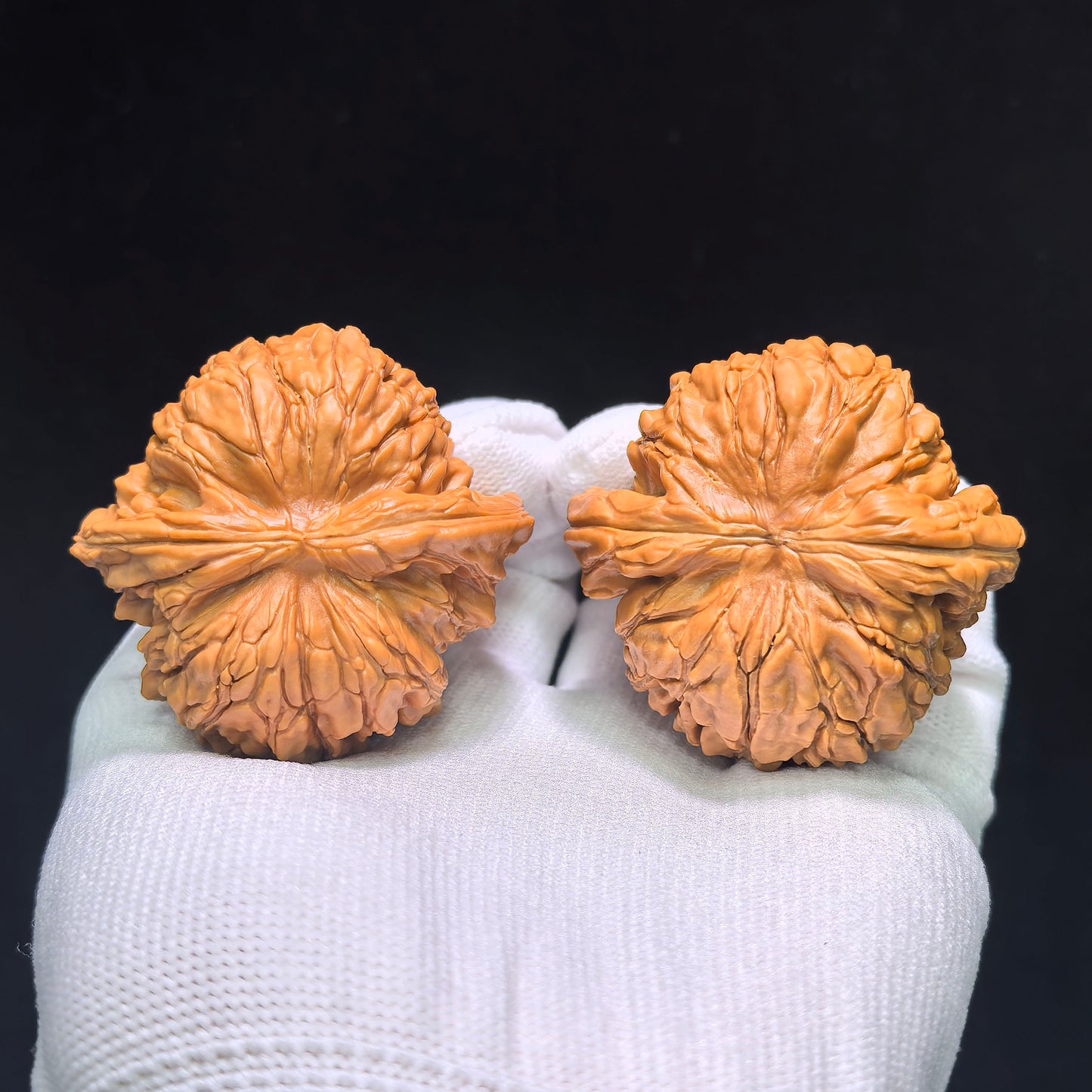 "Huakun Dragon" Huakunlong Wenwan Walnuts Pair | 48.0mm x 46.0mm | HKL-1551C