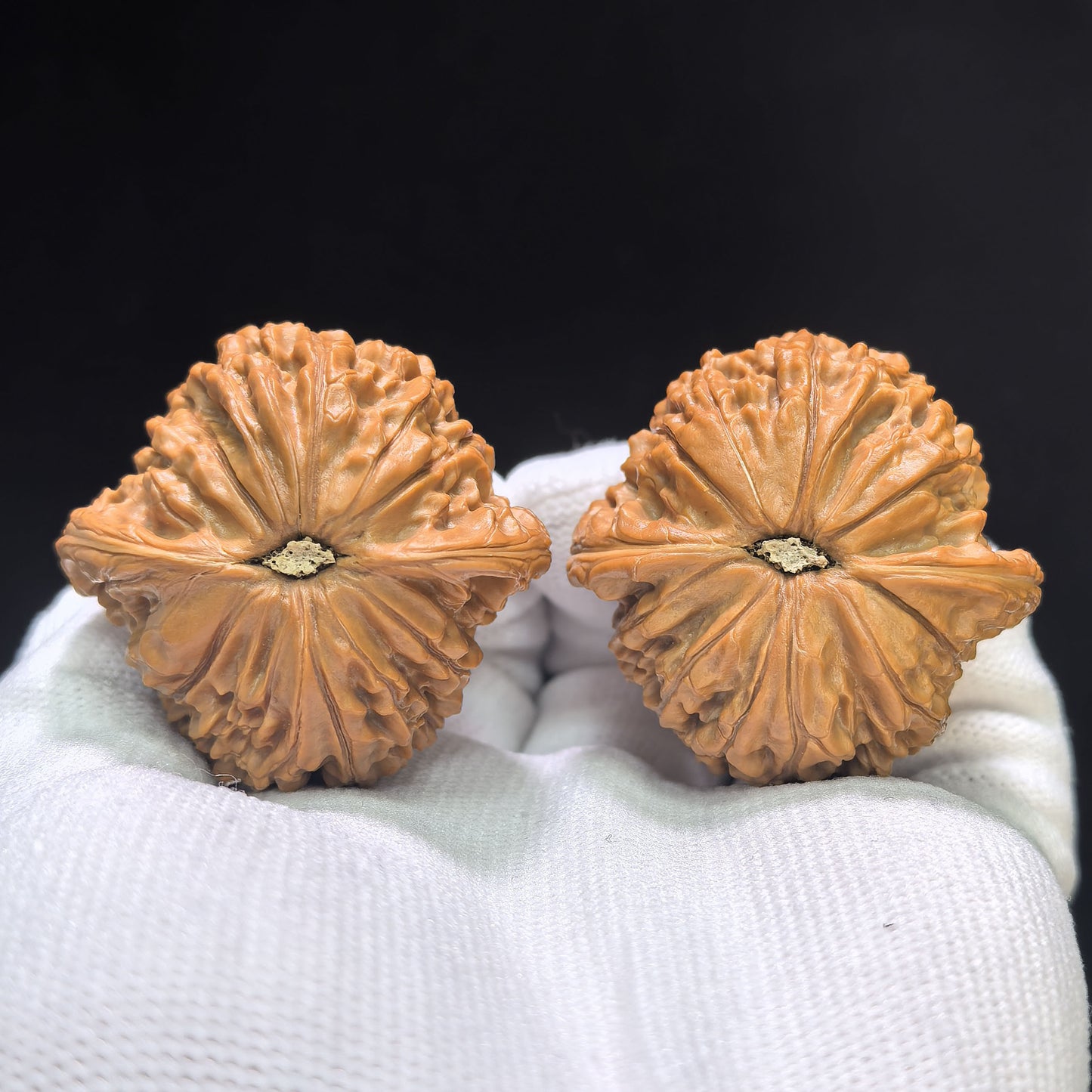 "Millstone" Mopan Wenwan Walnuts Pair | 40.0mm x 40.0mm | MP-01SY
