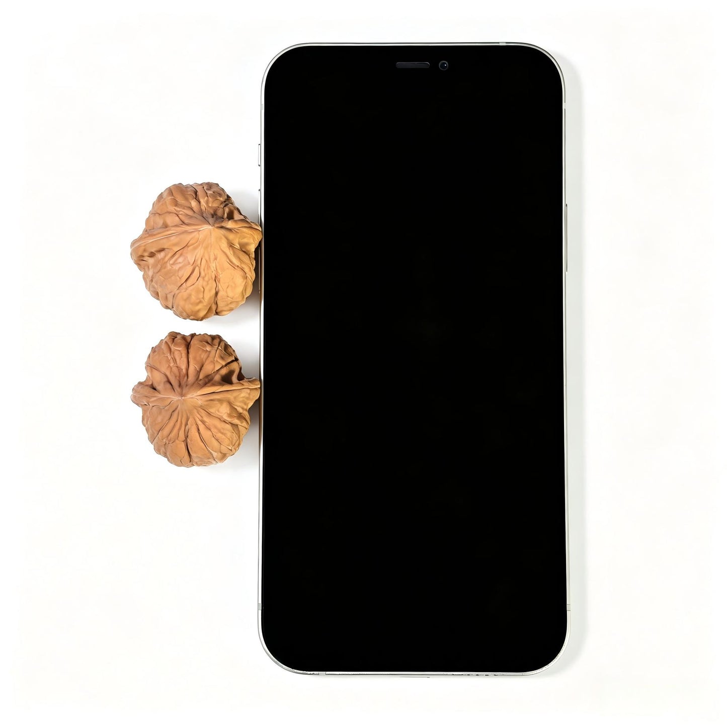 "Mini Turtle Shell Texture" Xiuzhen Gujiaowen XZGJW-1602 Pocket-Sized Wenwan Walnuts Pair | 30.0mm x 32.0mm | XZGJW-1602