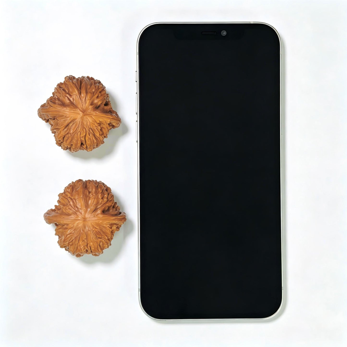 "Millstone" Mopan MB-17F4 Low-Profile Wenwan Walnuts Pair | 40.0mm x 37.0mm | MB-17F4