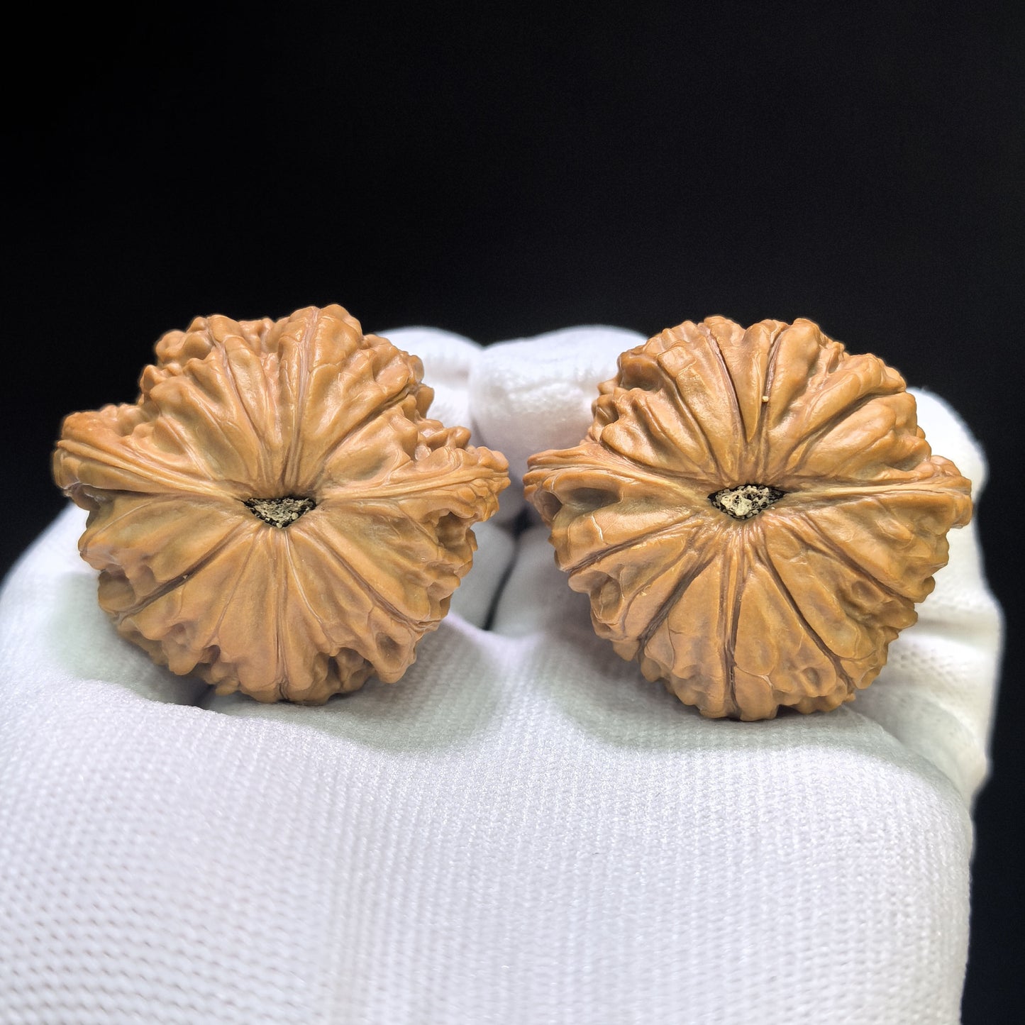 "Classic Millstone" Zheng Mopan Low-Profile Wenwan Walnuts Pair | 42.0mm x 38.0mm | MP-1506C