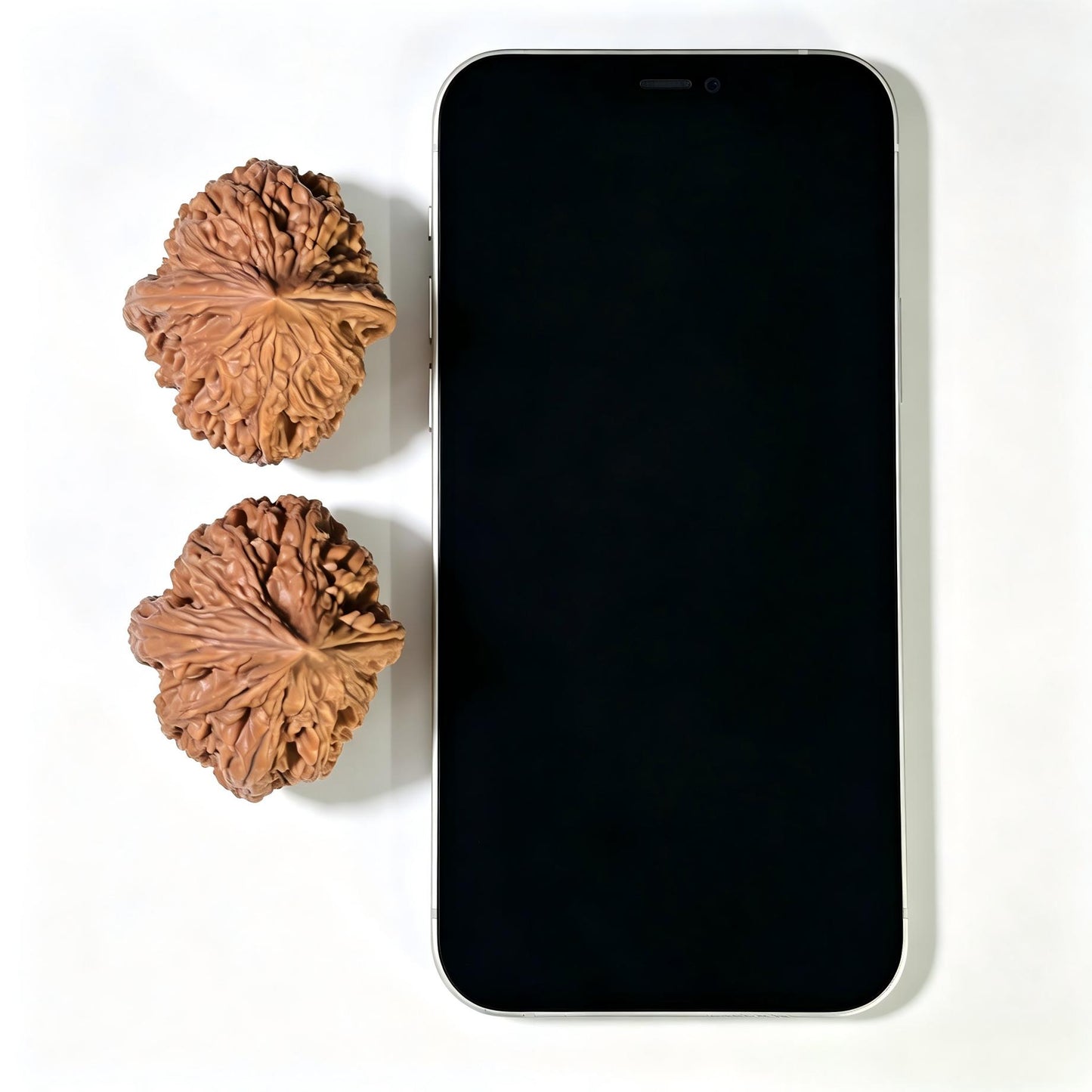 "Dagu Stone" Dagu Shi DGS-1601 Tall-Profile Wenwan Walnuts Pair | 39.0mm x 45.0mm | DGS-1601