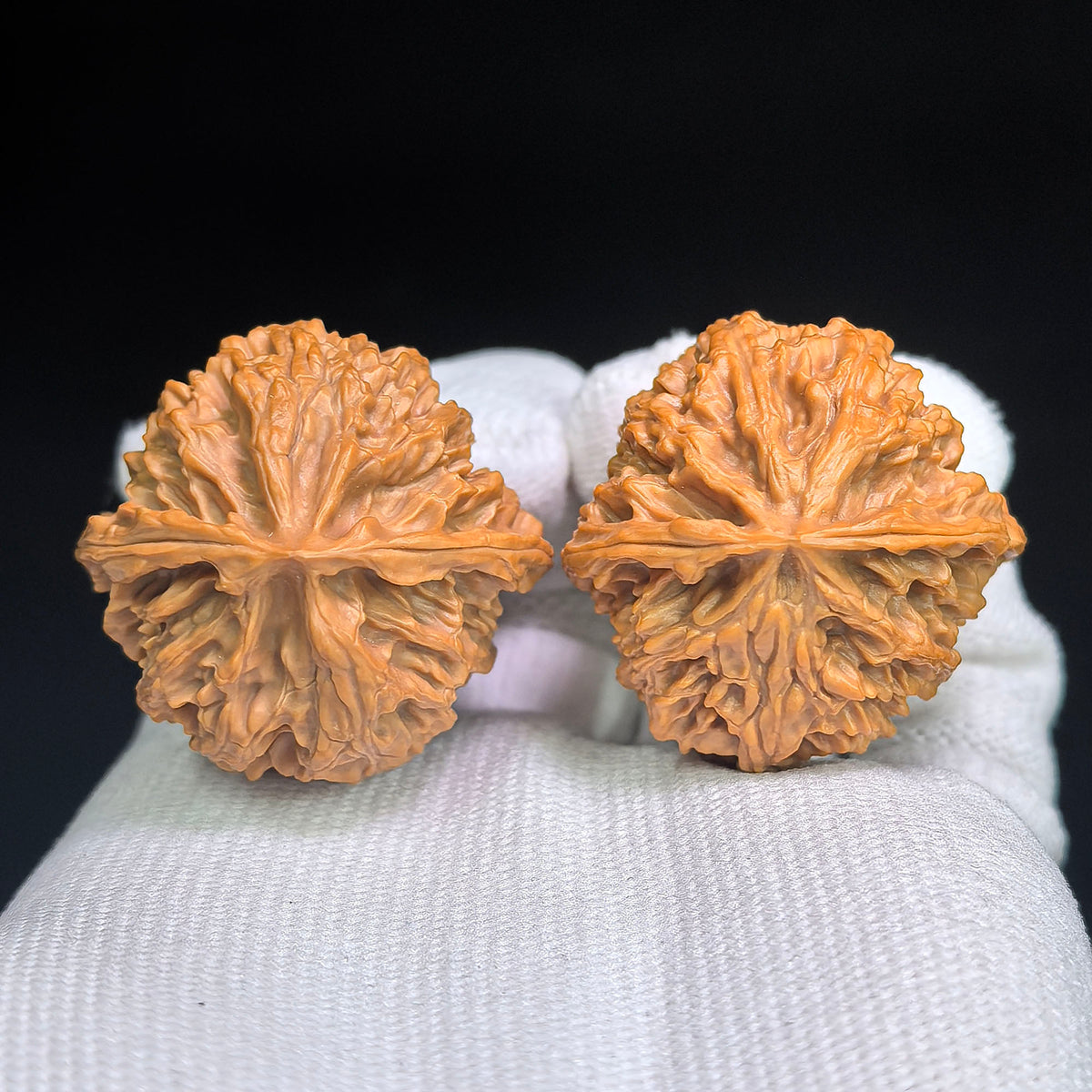 Miniature Butterfly-Form Apple Garden Wenwan Walnut Pair — 34.0mm x 33.0mm | XZHD-C1C5E