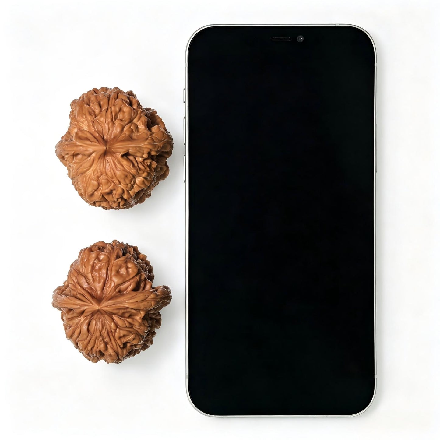 "Chubby Pier" Mendun Wenwan Walnuts Pair | 42.0mm x 45.0mm | MD-1501C