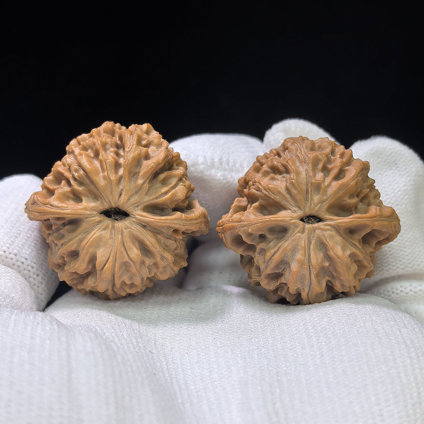 "Moon-Gazing Pocket Spinner" Wangyue Shounian Wenwan Walnuts Pair | 31.0mm x 30.0mm | WY-01SY