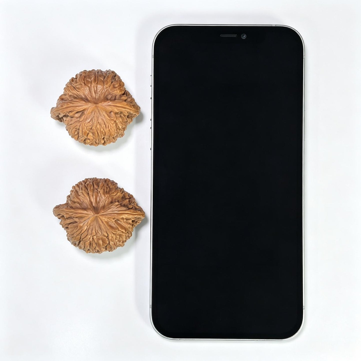 "Hydrangea" Xiuqiu Wenwan Walnuts Pair | 41.0mm x 34.0mm | XQ-101SY