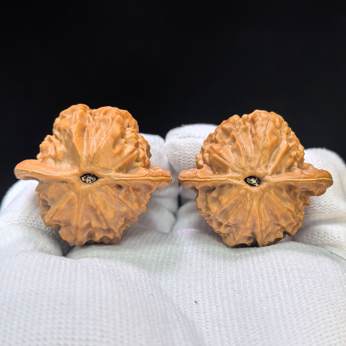 "Porcelain Doll" Ciwawawa Pocket Low-Profile Wenwan Walnuts Pair | 37.0mm x 35.0mm | CWW-SY1B4