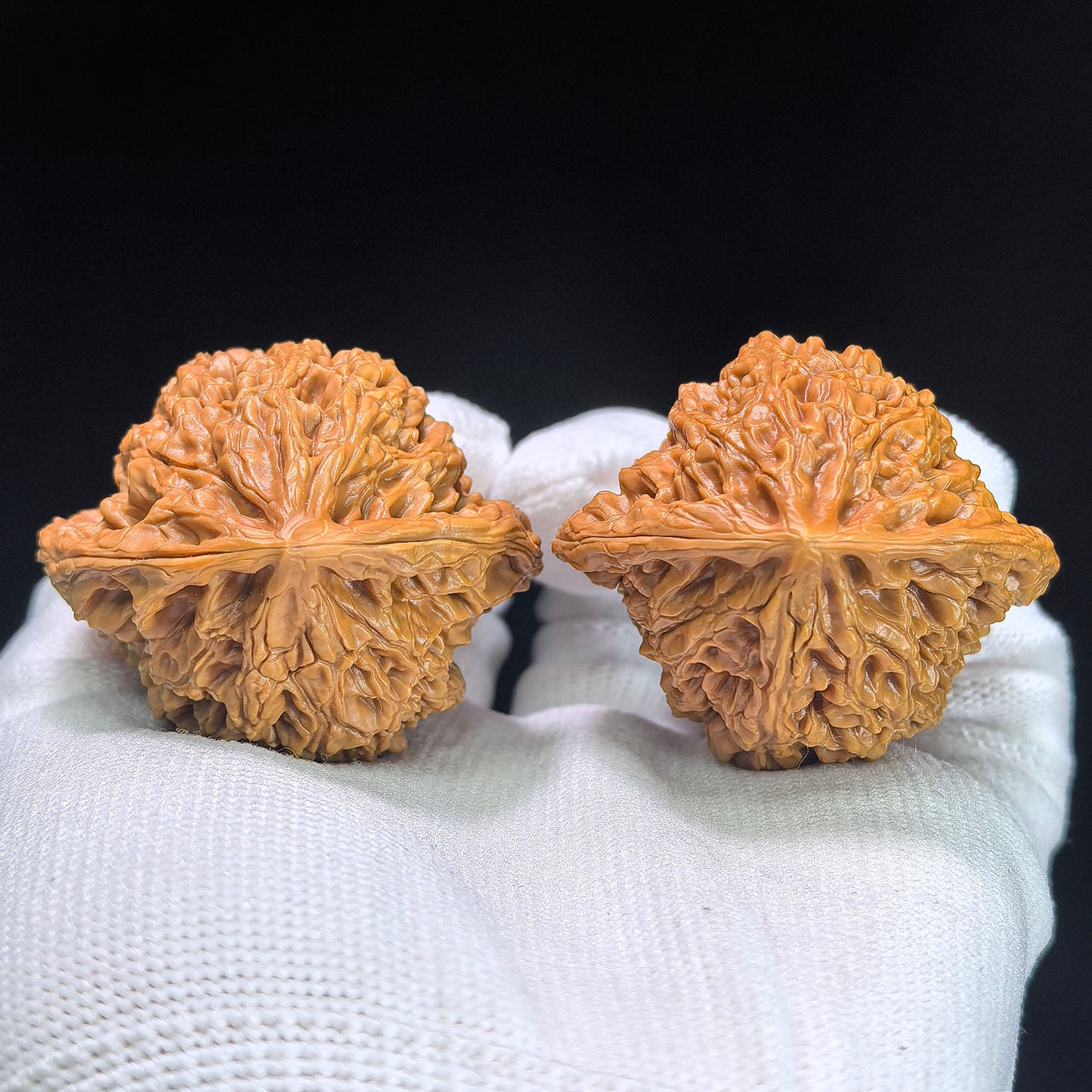 Hu Tou Wang (Tiger Head King) "Peach Heart" Variant Scholar Walnuts | Premium Select 44.0mm x 39.0mm | Stock ID: TXHTW-1351C
