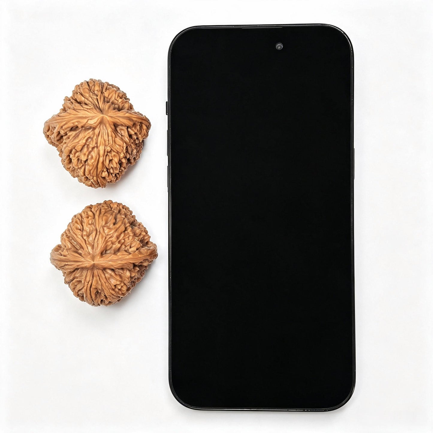 "Nanjiangshi Lionhead" Nanjiangshi NJS-SY1A5 Low-Profile Wenwan Walnuts Pair | 40.0mm x 41.0mm | NJS-SY1A5