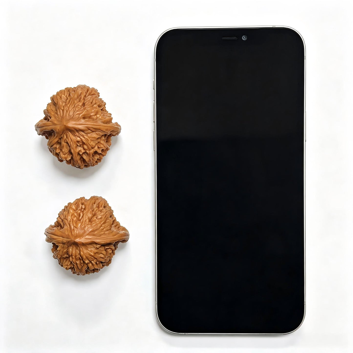 "Taihang Coarse Vein" Taihang Cujin DXCJ-17A4C Low-Profile Wenwan Walnuts Pair | 39.0mm x 39.0mm | DXCJ-17A4C