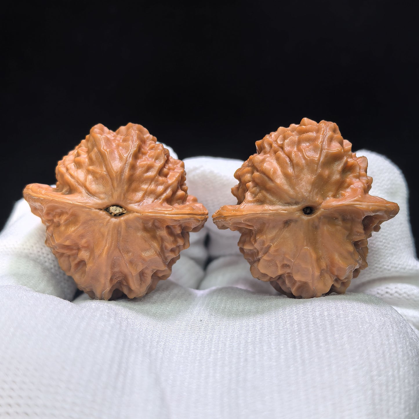 "Porcelain Doll" Ciwawa Wenwan Walnuts Pair | 37.0mm x 37.