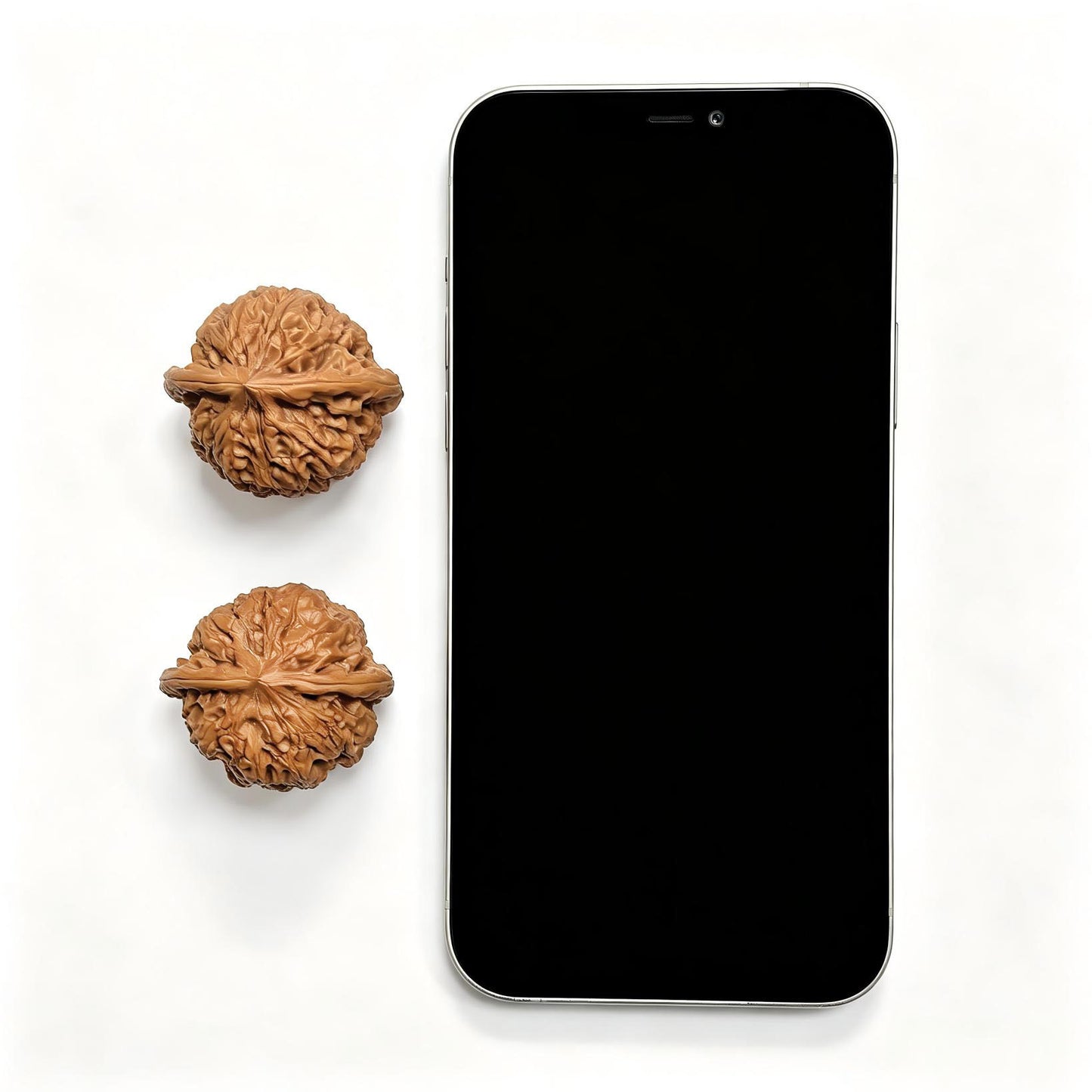 "Concave Base Rain Flower Stone" Concave Base Yuhuashi BDYHS-17A3C Low-Profile Wenwan Walnuts Pair | 35.0mm x 33.0mm | BDYHS-17A3C