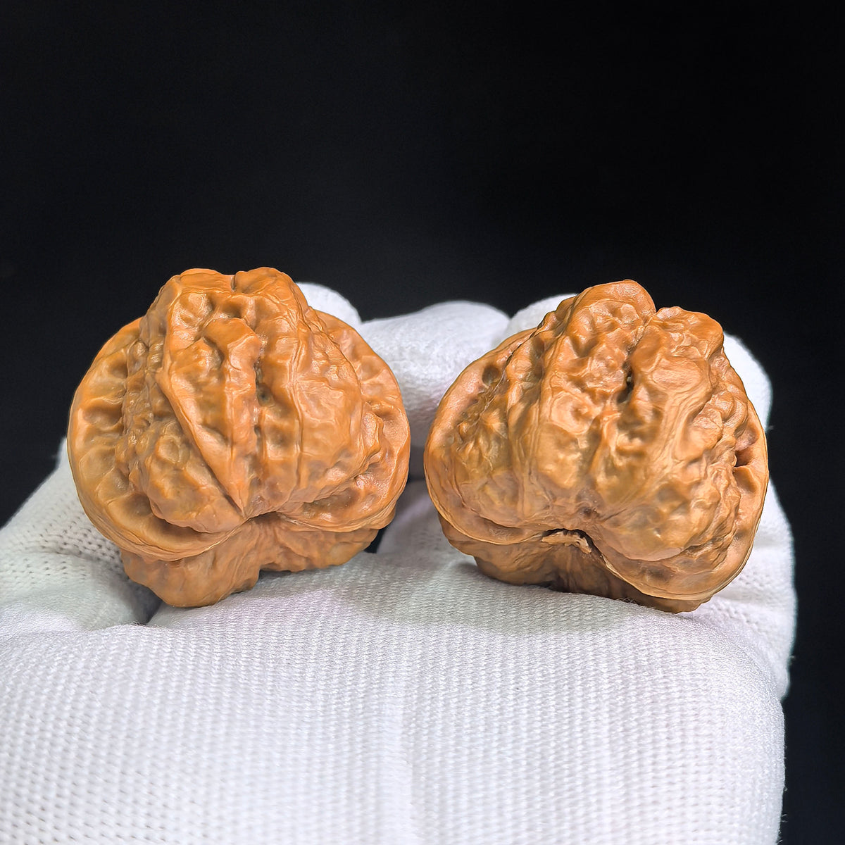 Compact Broad-Shouldered Hamatou Wenwan Walnut Pair | 39.0mm x 40.0mm | HMT-SY1G8