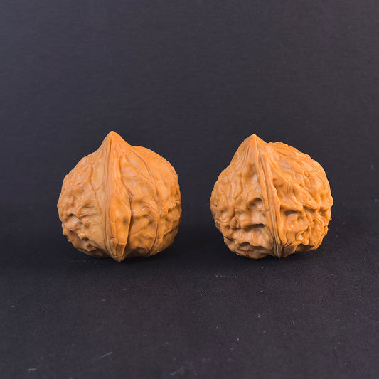 The "Longevity Turtle" (Gui Jia) | 35mm Geometric Shell Pair