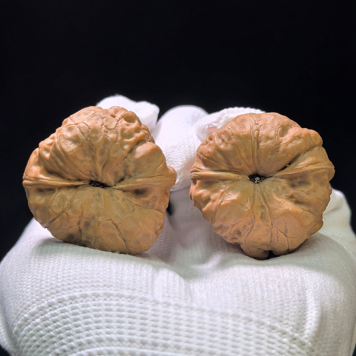 "Ancient Toad" (Gu Chan) Scholar Walnuts Pair | 36.0mm x 39.0mm | Deep-Belly Pocket Format | Stock ID: GC-1102 - ThePatinaProject