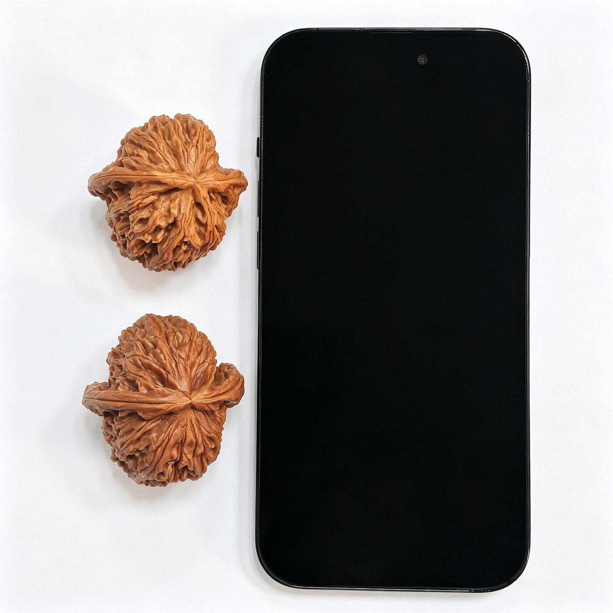 "Bai Shi Zi Xiao Niu Jiao" BSJ-CG1A0E Collector Lineage Wenwan Walnuts Pair | 41.0mm x 44.0mm | Stock ID: BSJ-CG1A0E - ThePatinaProject