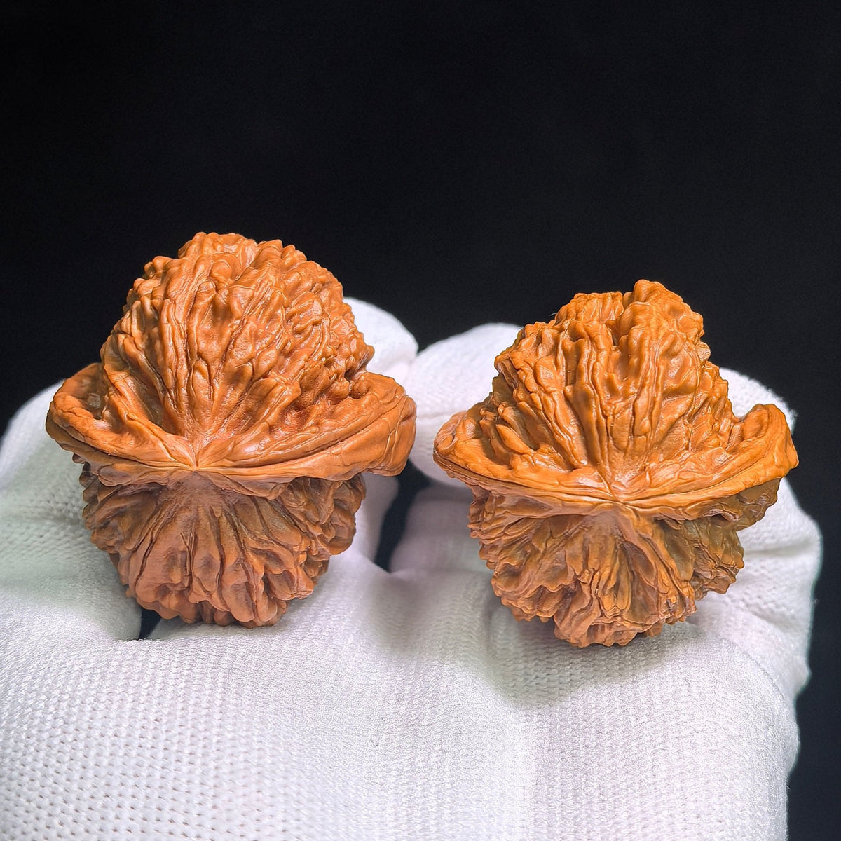 "Bai Shi Zi Xiao Niu Jiao" BSJ-CG1A0E Collector Lineage Wenwan Walnuts Pair | 41.0mm x 44.0mm | Stock ID: BSJ-CG1A0E - ThePatinaProject