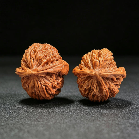 "Bai Shi Zi Xiao Niu Jiao" BSJ-CG1A0E Collector Lineage Wenwan Walnuts Pair | 41.0mm x 44.0mm | Stock ID: BSJ-CG1A0E - ThePatinaProject