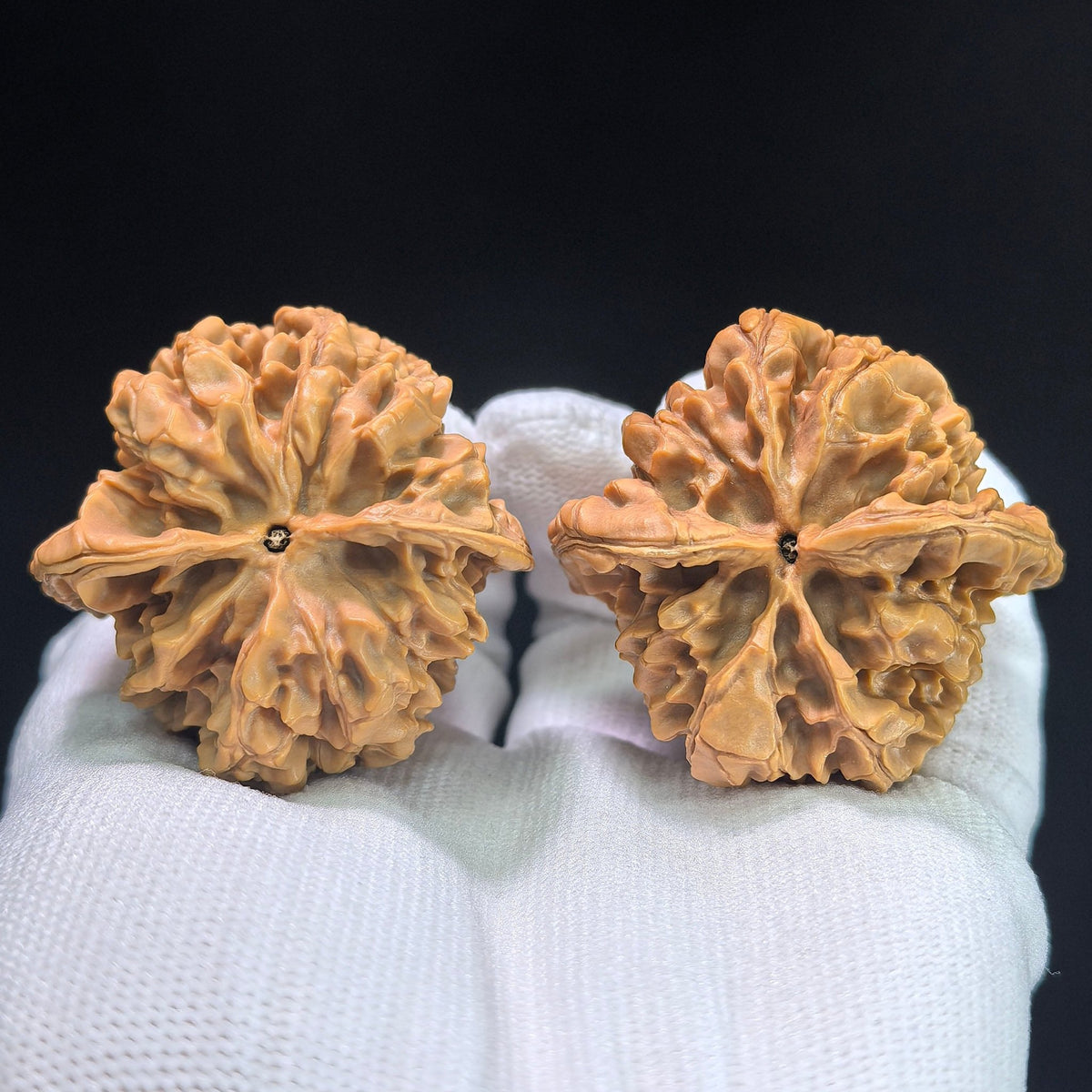 Bai Shou Lion Head (Hundred Longevity) Scholar Walnuts Pair | 45.0mm x 43.0mm | Stock ID: BSSZT-1401 - ThePatinaProject