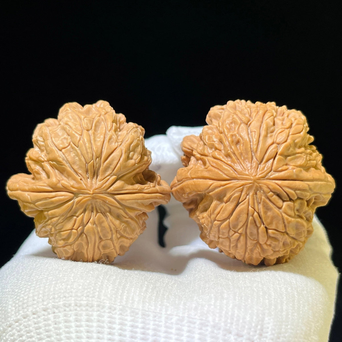 Bao Xue Lion Head (Blizzard Pattern) Scholar Walnuts Pair | 41.0mm x 41.0mm | Stock ID: BX-1102 - ThePatinaProject