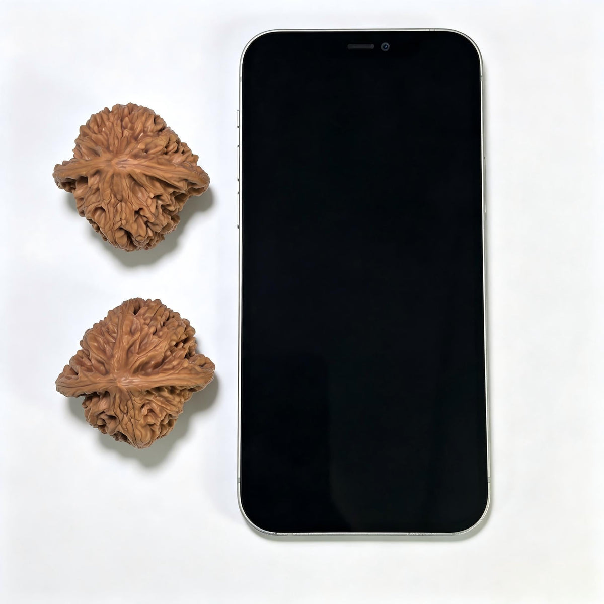 "Beijing Chicken Heart" Beijing Jixin BJJX-1109 Wenwan Walnuts Pair | 42.0mm x 41.0mm | BJJX-1109 - ThePatinaProject