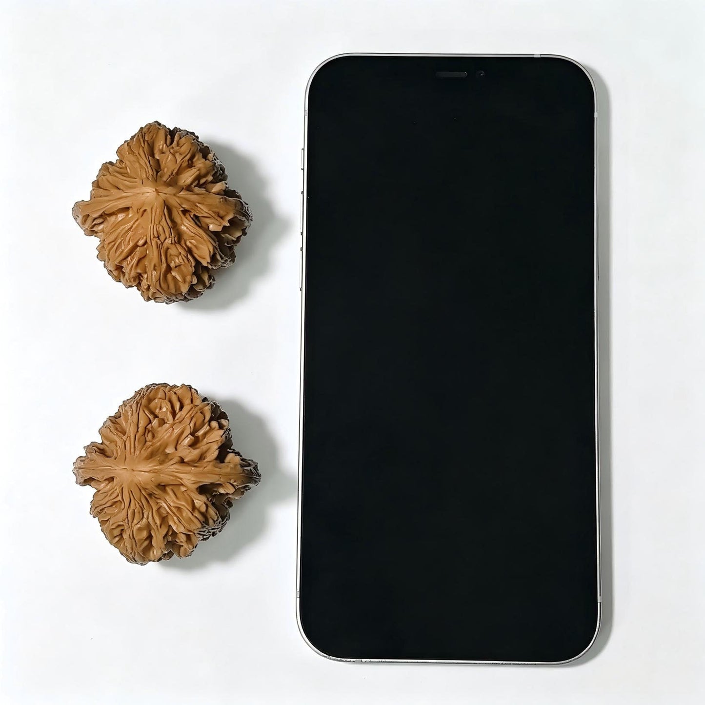 "Beijing Chicken Heart" Beijing Jixin BJJX-1404 Classic Wenwan Walnuts Pair | 42.0mm x 41.0mm | BJJX-1404 - ThePatinaProject