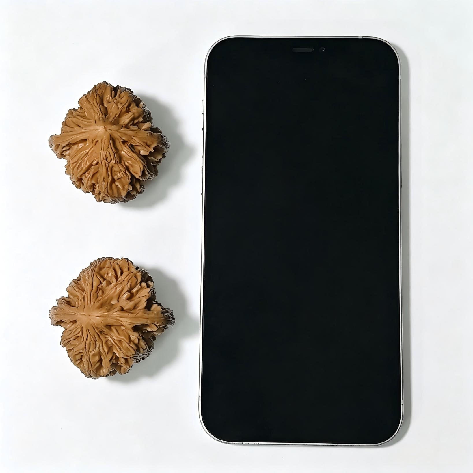 "Beijing Chicken Heart" Beijing Jixin BJJX-1404 Classic Wenwan Walnuts Pair | 42.0mm x 41.0mm | BJJX-1404 - ThePatinaProject