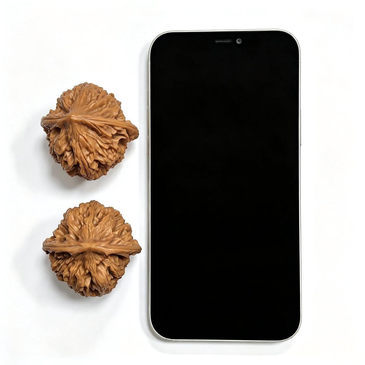"Beijing Chicken Heart" Beijing Jixin BJJX-17A5C Wenwan Walnuts Pair | 44.0mm x 44.0mm | BJJX-17A5C - ThePatinaProject