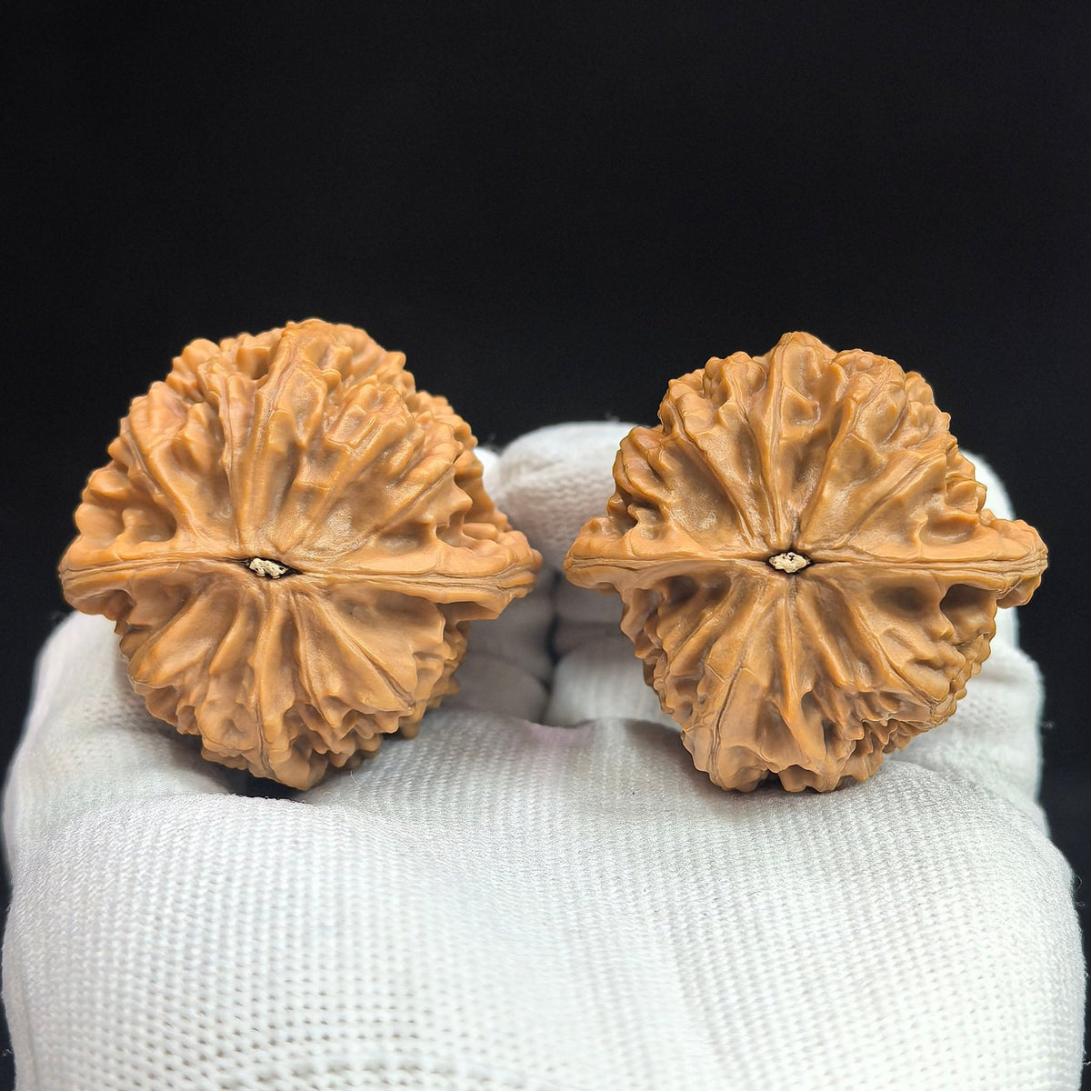 "Beijing Chicken Heart" Beijing Jixin BJJX-17A5C Wenwan Walnuts Pair | 44.0mm x 44.0mm | BJJX-17A5C - ThePatinaProject