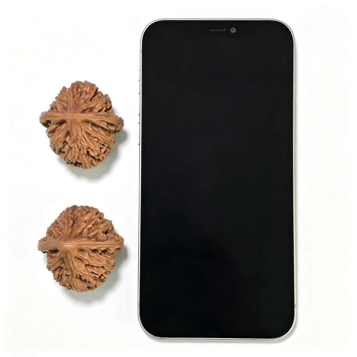 "Beijing Chicken-Heart" Beijing Jixin Classic Heritage Wenwan Walnuts Pair | 36.0mm x 38.0mm | BJJX-1102 - ThePatinaProject