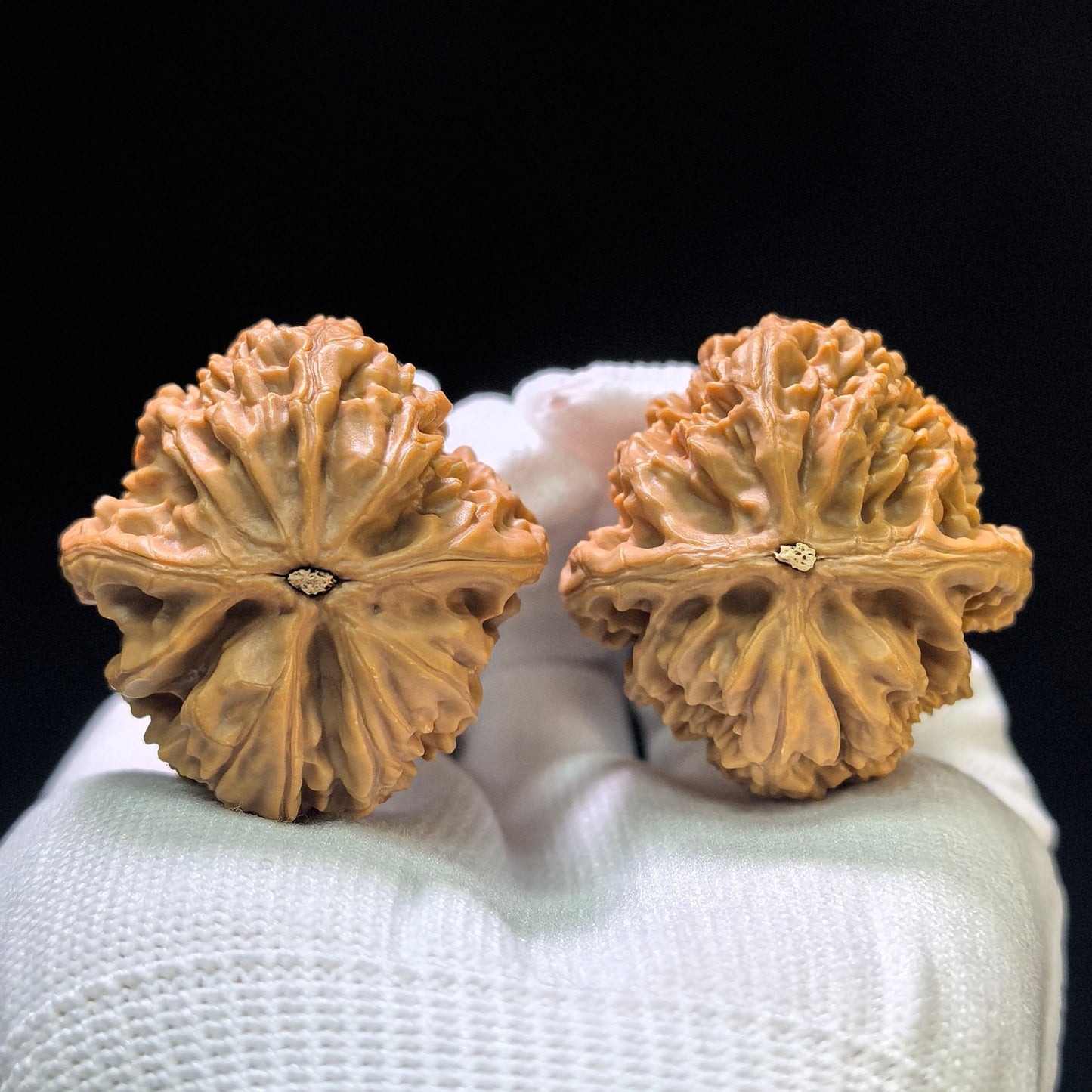 "Beijing Chicken-Heart" Beijing Jixin Classic Heritage Wenwan Walnuts Pair | 36.0mm x 38.0mm | BJJX-1102 - ThePatinaProject