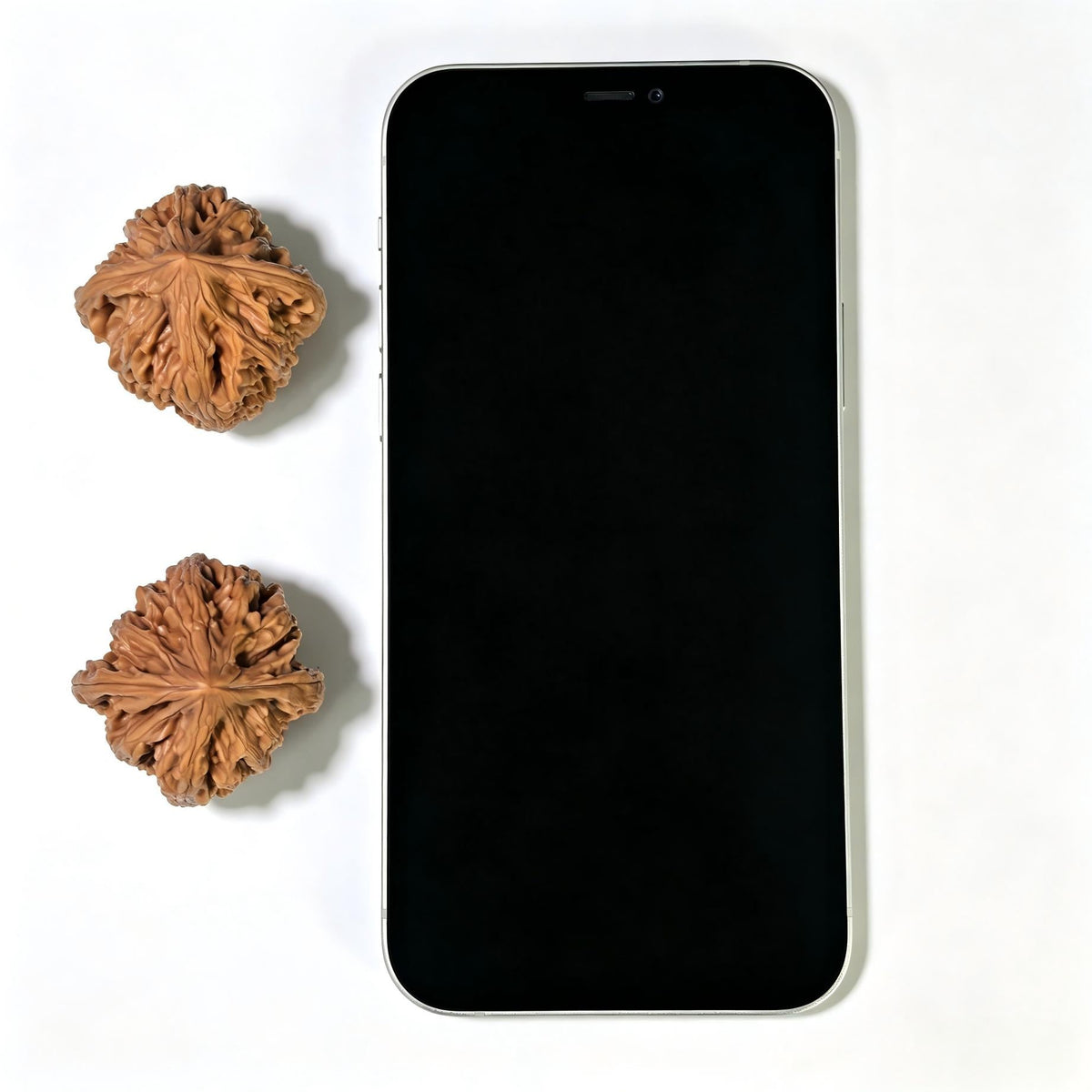 "Beijing Chicken Heart" Beijing Jixin Wenwan Walnuts Pair | 36.0mm x 36.0mm | BJJX-1103 - ThePatinaProject