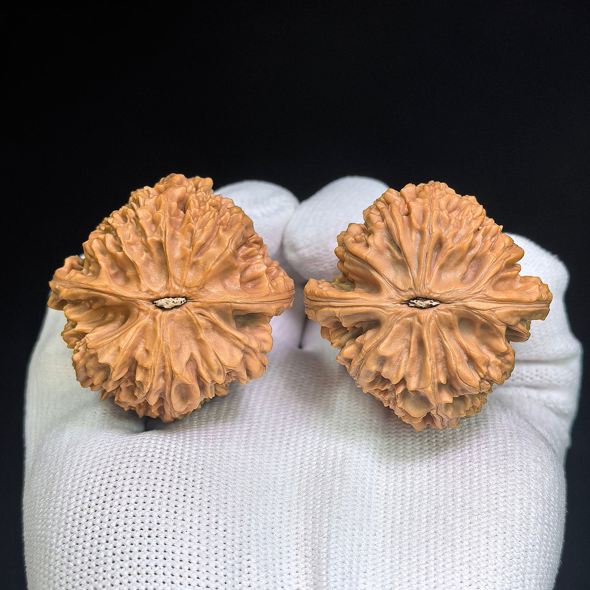 "Beijing Chicken Heart" Classic Selection BJJX-601 Heirloom Wenwan Walnuts Pair | 41.0mm x 41.0mm | BJJX-601 - ThePatinaProject