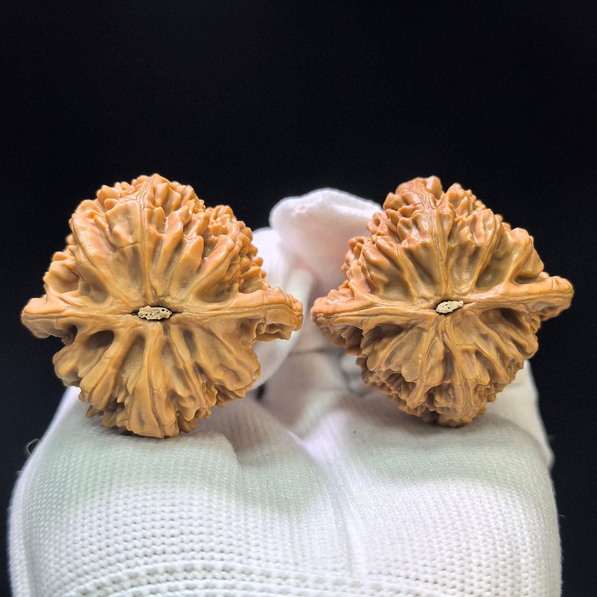 "Beijing Rooster Heart" Beijing Jixin Wenwan Walnuts (Pair) | 41.0mm x 40.0mm | Stock ID: BJJX-1104 - ThePatinaProject