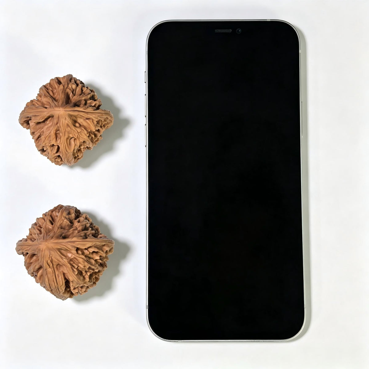 "Beijing Rooster Heart" Beijing Jixin Wenwan Walnuts (Pair) | 41.0mm x 40.0mm | Stock ID: BJJX-1108 - ThePatinaProject