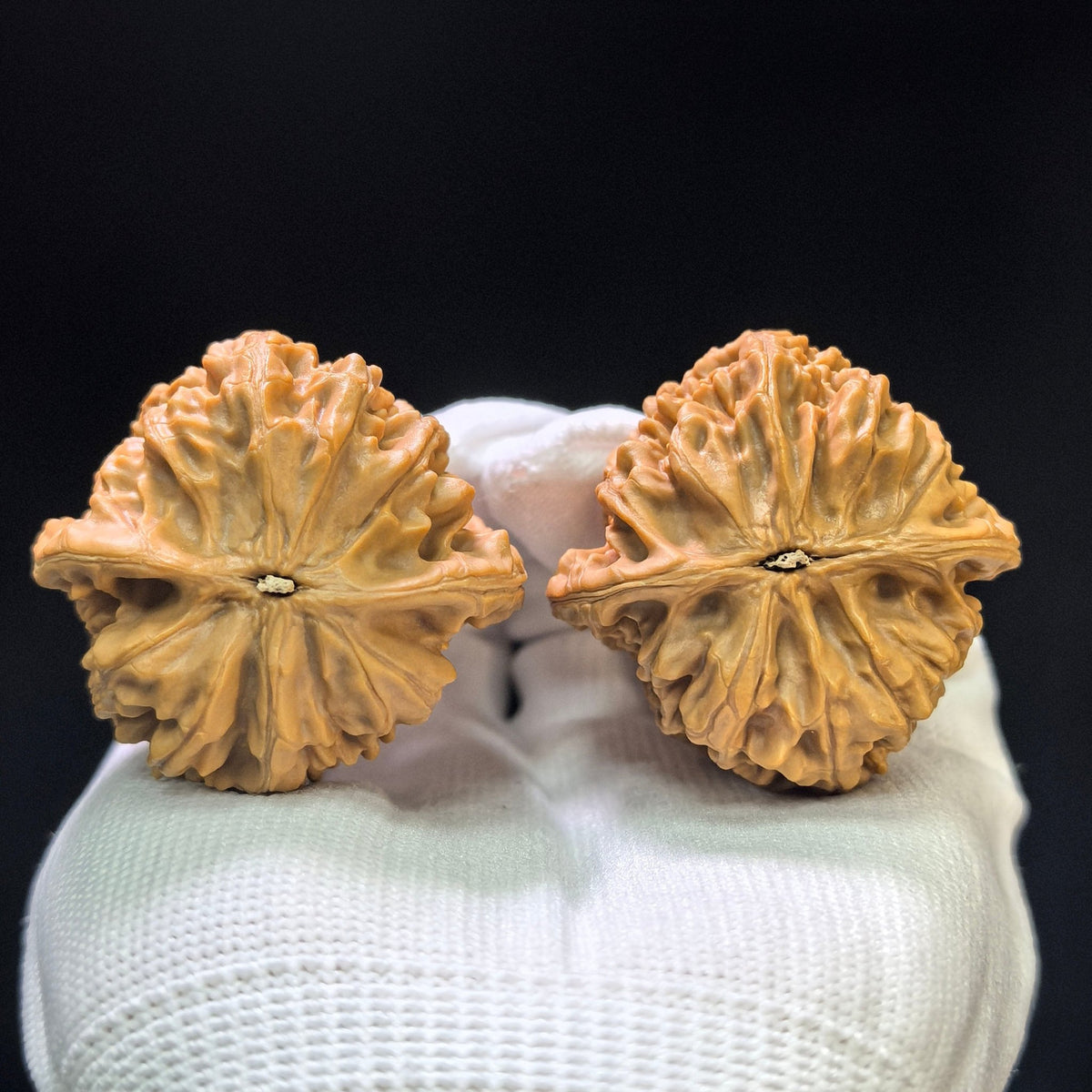 "Beijing Rooster Heart" Beijing Jixin Wenwan Walnuts (Pair) | 42.0mm x 42.0mm | Stock ID: BJJX-1105 - ThePatinaProject