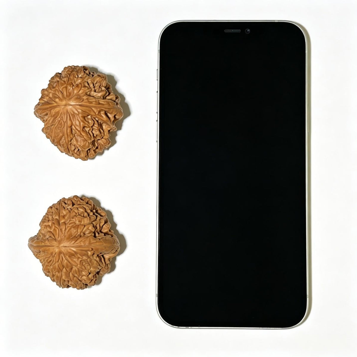 "Blizzard" Baixue Wenwan Walnuts Standard Pair | 41.0mm x 44.0mm | BX-1107 - ThePatinaProject