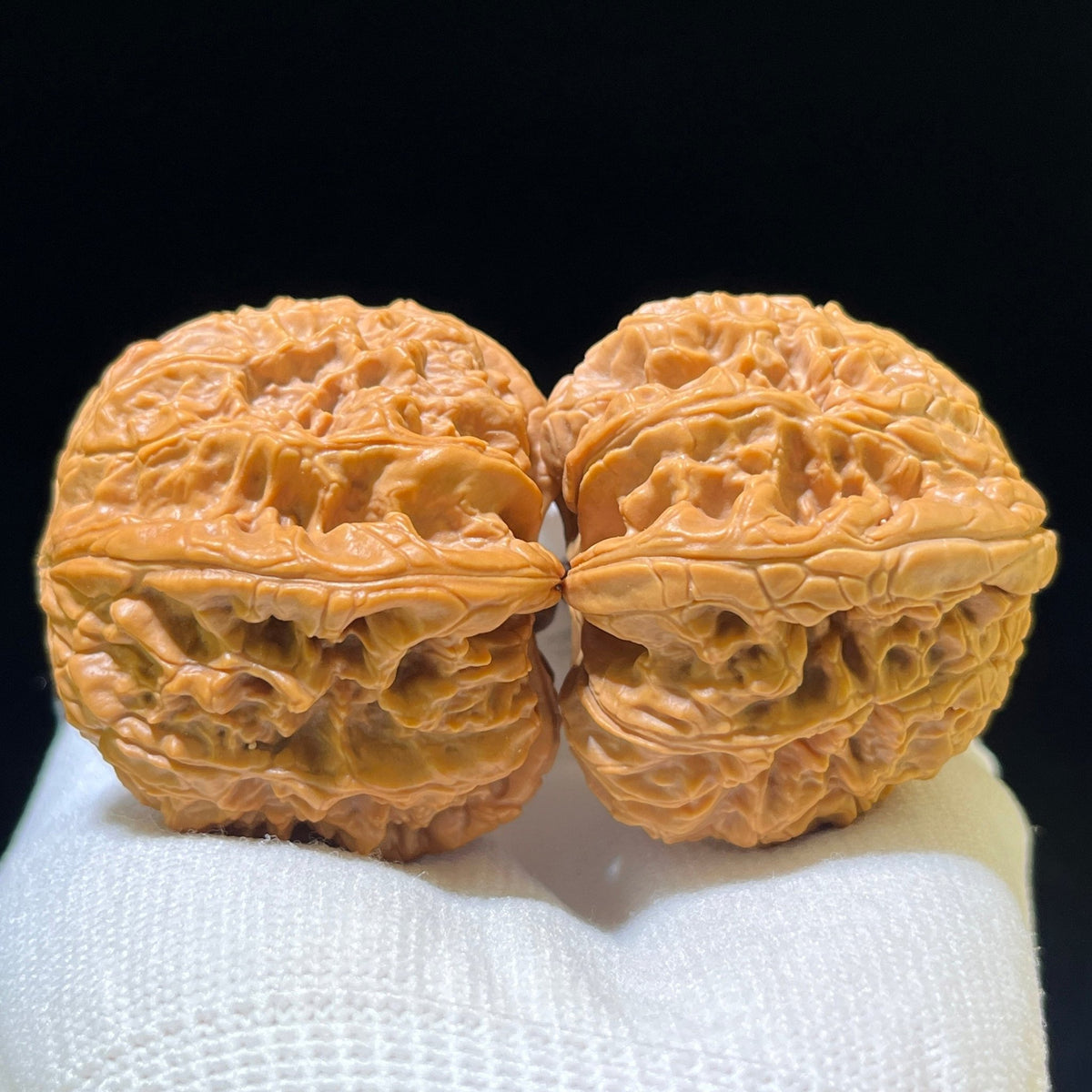 "Blizzard" Baixue Wenwan Walnuts Standard Pair | 41.0mm x 44.0mm | BX-1107 - ThePatinaProject