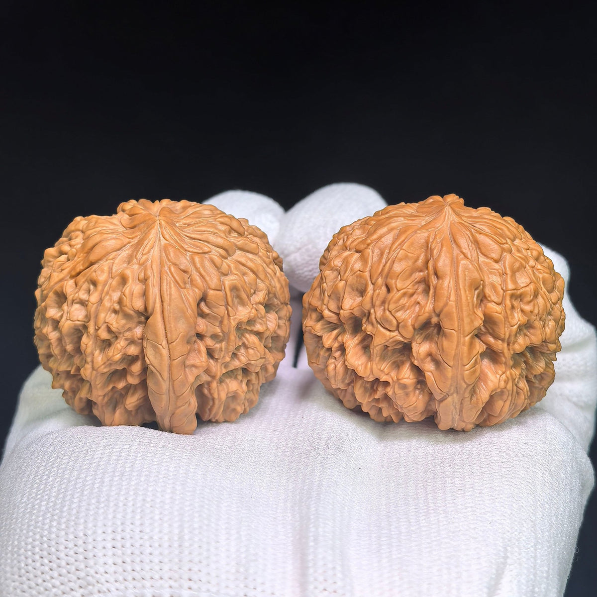 "Blizzard Heavenly Crippled Foot" BaoXue TianCanJiao BX-CG1B0E Wenwan Walnuts Collector Pair | 42.0mm x 43.0mm | Stock ID: BX-CG1B0E - ThePatinaProject