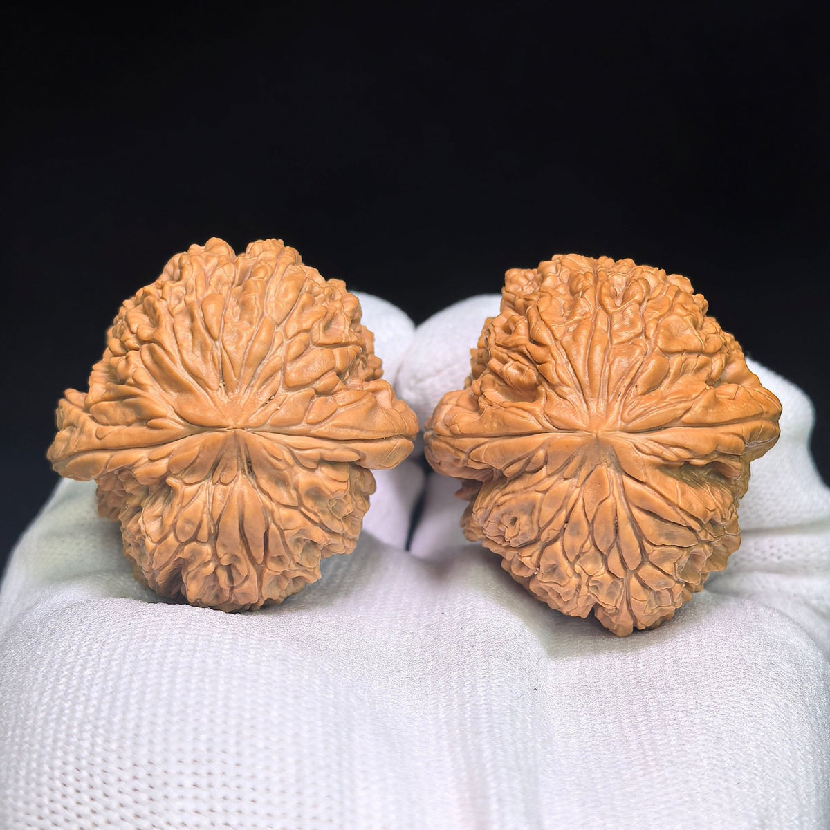 "Blizzard Heavenly Crippled Foot" BaoXue TianCanJiao BX-CG1B0E Wenwan Walnuts Collector Pair | 42.0mm x 43.0mm | Stock ID: BX-CG1B0E - ThePatinaProject