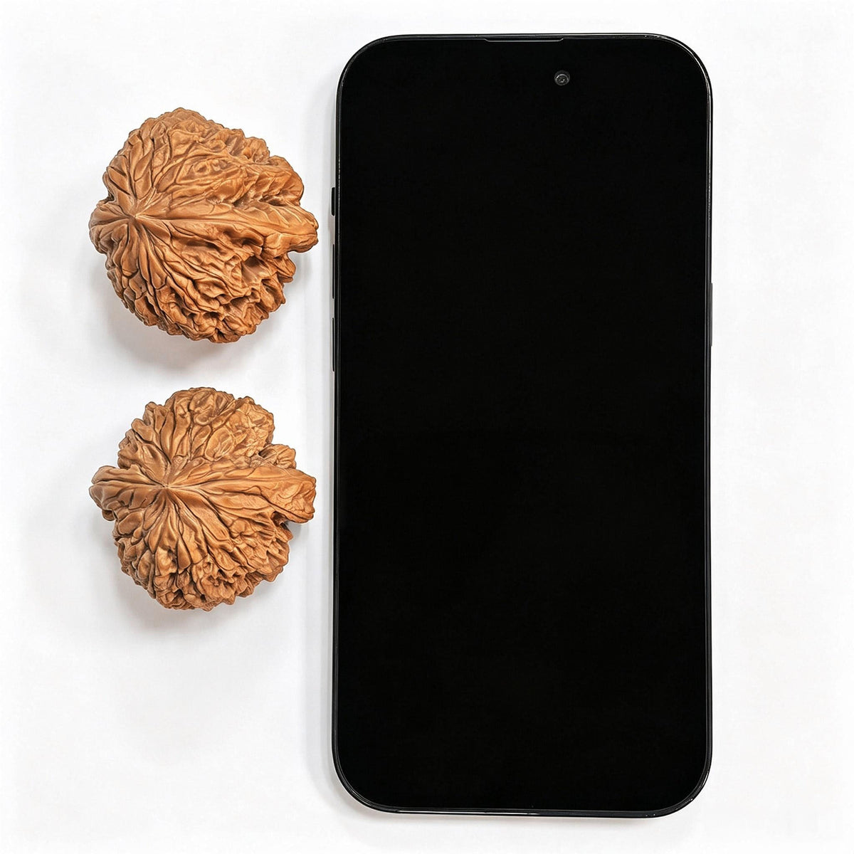 "Blizzard Heavenly Crippled Foot" BaoXue TianCanJiao BX-CG1B0E Wenwan Walnuts Collector Pair | 42.0mm x 43.0mm | Stock ID: BX-CG1B0E - ThePatinaProject