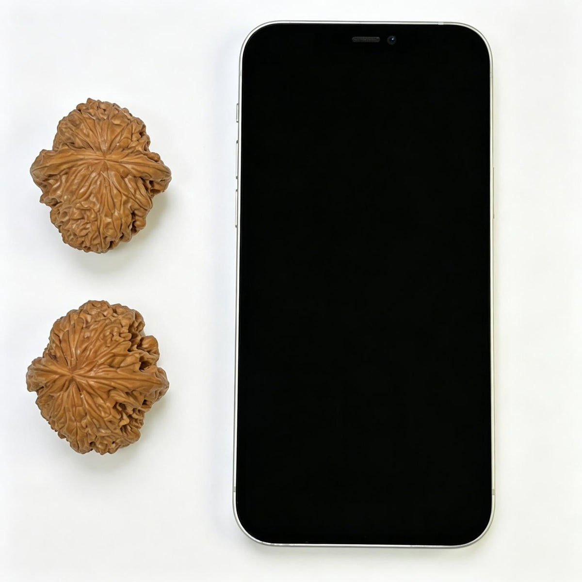 "Blizzard" Mantianxing Blizzard Variety Wenwan Walnuts Pair | 37.0mm x 41.0mm | BX-1109 - ThePatinaProject