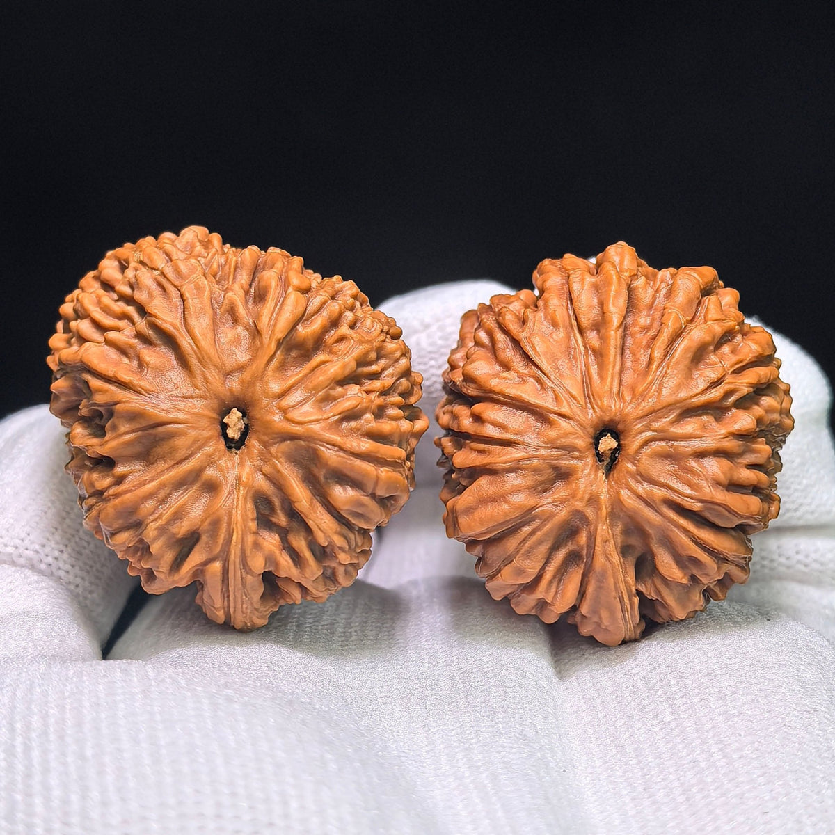 "Blizzard Single Rib" BaoXue YiGenJin BXYGJ-CG1B4E Wenwan Walnuts Collector Pair | 39.0mm x 34.0mm | Stock ID: BXYGJ-CG1B4E - ThePatinaProject