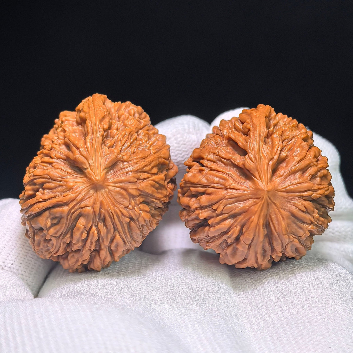 "Blizzard Single Rib" BaoXue YiGenJin BXYGJ-CG1B4E Wenwan Walnuts Collector Pair | 39.0mm x 34.0mm | Stock ID: BXYGJ-CG1B4E - ThePatinaProject