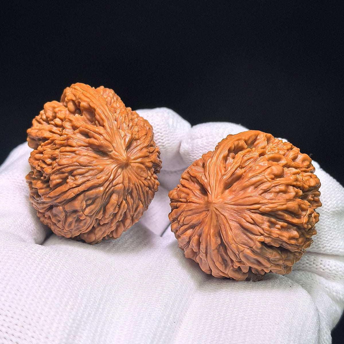 "Blizzard Single Rib" BaoXue YiGenJin BXYGJ-CG1B4E Wenwan Walnuts Collector Pair | 39.0mm x 34.0mm | Stock ID: BXYGJ-CG1B4E - ThePatinaProject