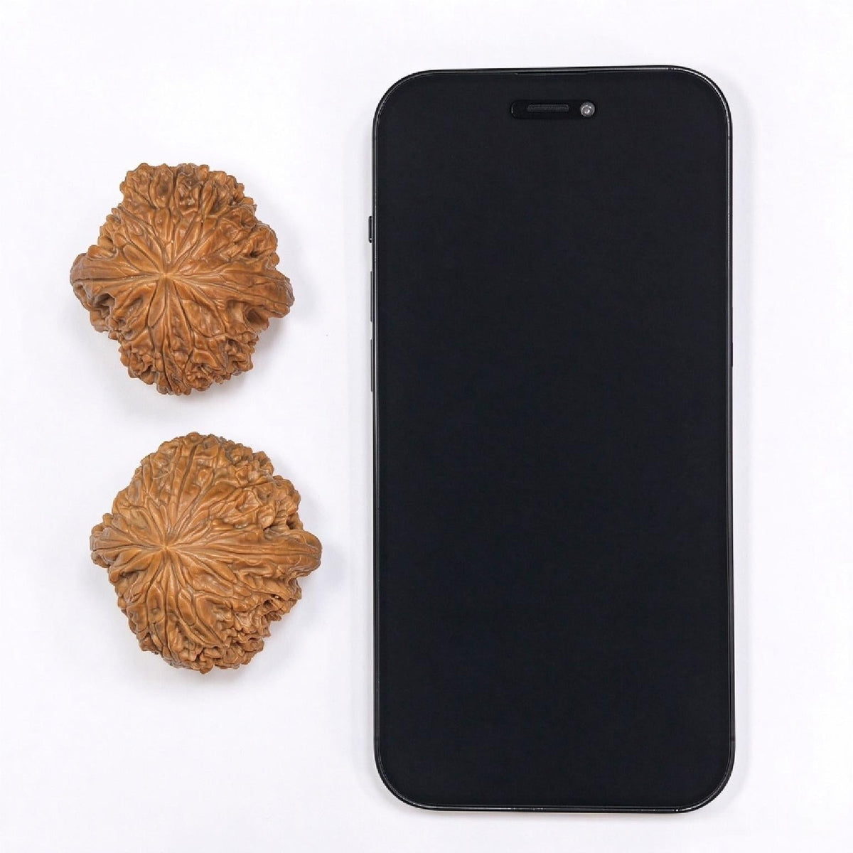 Blizzard Wenwan Walnuts Pair | Large Size 44.0mm × 45.0mm | BX-SY1A4 - ThePatinaProject