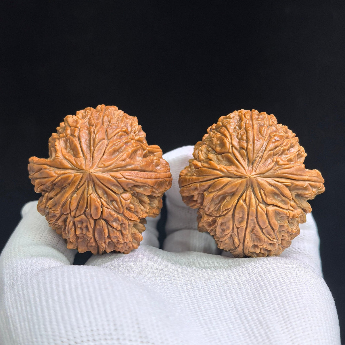 Blizzard Wenwan Walnuts Pair | Large Size 44.0mm × 45.0mm | BX-SY1A4 - ThePatinaProject