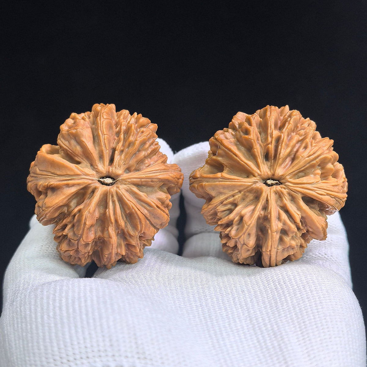 Blizzard Wenwan Walnuts Pair | Large Size 44.0mm × 45.0mm | BX-SY1A4 - ThePatinaProject