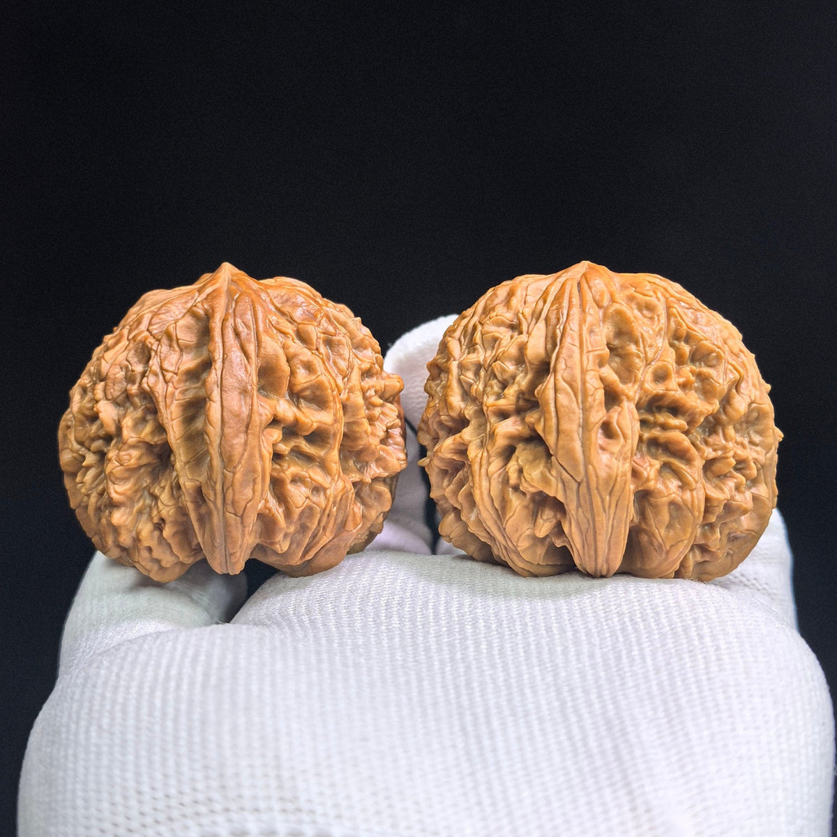 Blizzard Wenwan Walnuts Pair | Large Size 44.0mm × 45.0mm | BX-SY1A4 - ThePatinaProject
